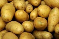 موسكو تخفف الحظر على واردات البطاطس المصرية