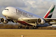 الإمارات تلغي حظر سفر مواطنيها لتركيا