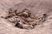 الحكومة العراقية تغلق مقبرة جماعية شرق تكريت بعد انتشال 13 جثة