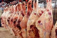 لحوم برازيلية فاسدة دخلت مصر