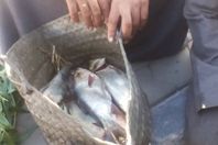 "السلفر القاتل" بالغردقة يلاحق السياح