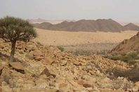 وادي العلاقي