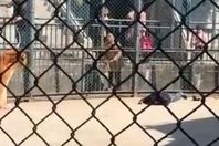 فيديو يرصد اللحظات الأخيرة لحارس قتله نمر