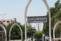 جامعة المنيا 
