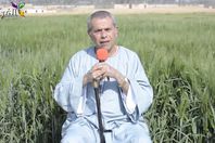 توفيق عكاشة