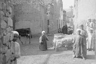 قرية سيد قطب قبل 100 عام