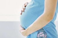 حمل (أرشيفية)