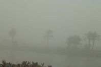 عاصفة ترابية بالمنيا 
