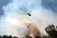 مبيدات إسرائيلية