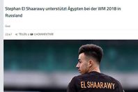 صورة الخبر الأصلي