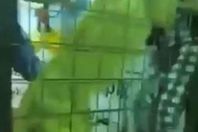 اسد يهاجم طفلة بجدة