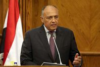 وزير الخارجية سامح شكرى