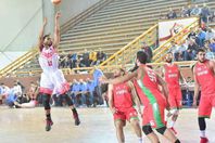 سلة الزمالك