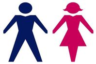 الذكور والإناث