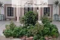 ديوان الإفتاء