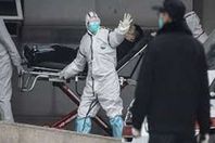 إعدام 12 ألف طائر.. فيروس جديد يضرب هذه الدولة