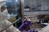 فيروس كورونا