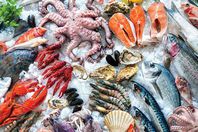 انواع السمك