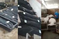 مقطع من الفيديو