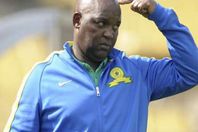 مدرب صن داونز