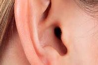 تجاعيد الأذن 
