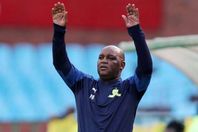 مدرب صن داونز