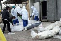 جثث إيرانية