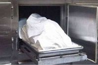 9202030154159186066833