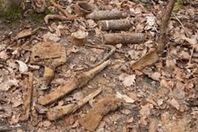 نفق الموت في فرنسا