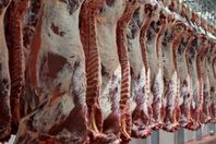 1527077990_873_90014_f5d17dc55203c50a6c056f0880c5c956-770x435