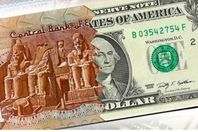 62-113805-today-s-dollar-price-in-egypt-monday-march-24-2025-3