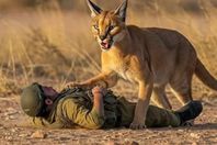 bb8311fd-bfde-460a-843e-cead73953352