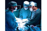 263c834b96fccde06319988d210206d8