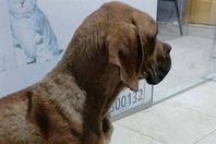 19_2026-639084918798892925-889