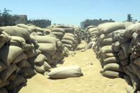 الهيئة الهندسية بالقوات المسلحة تطور 3 شون بالفيوم   