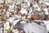 إهدار 10 ملايين جنيه بجمعية فرفراة القطن