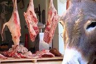 العثور على 7 حمير مسلوخة بالدلنجات