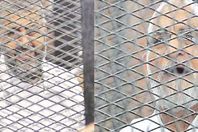 بدء جلسة محاكمة بديع والشاطر و15 متهمًا في «أحداث الإرشاد»