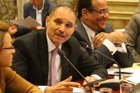 النائب رضا البلتاجى