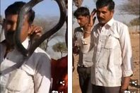 عضة الكوبرا للسائح الهندي