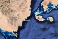 تيران وصنافير