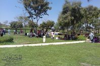 المواطنون يحتفلون بشم النسيم بحديقة الازهر