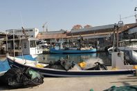 الصيادون في خطر