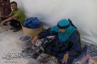 مولد الفولي