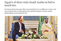 السيسي والملك سلمان (دويتشه فيله)