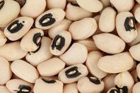 اللوبيا تحمى القلب وتقاوم السرطان