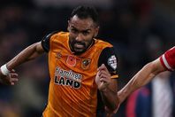 أحمد المحمدي