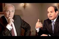 السيسي وشفيق