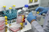 البنكرياس الاصطناعي آمن لمرضى السكري