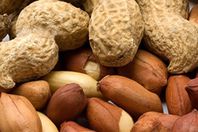 10فوائد للفول السودانى